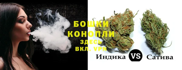 спайс Алексин