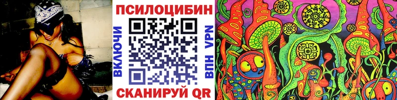 omg ССЫЛКА  Энгельс  Галлюциногенные грибы Cubensis  наркошоп 