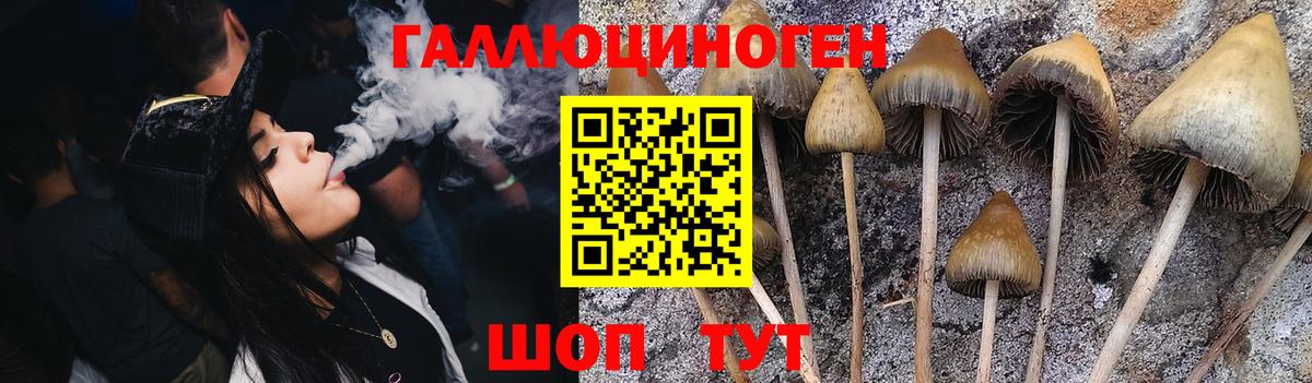 Энгельс  Галлюциногенные грибы GOLDEN TEACHER  Вход с VPN 